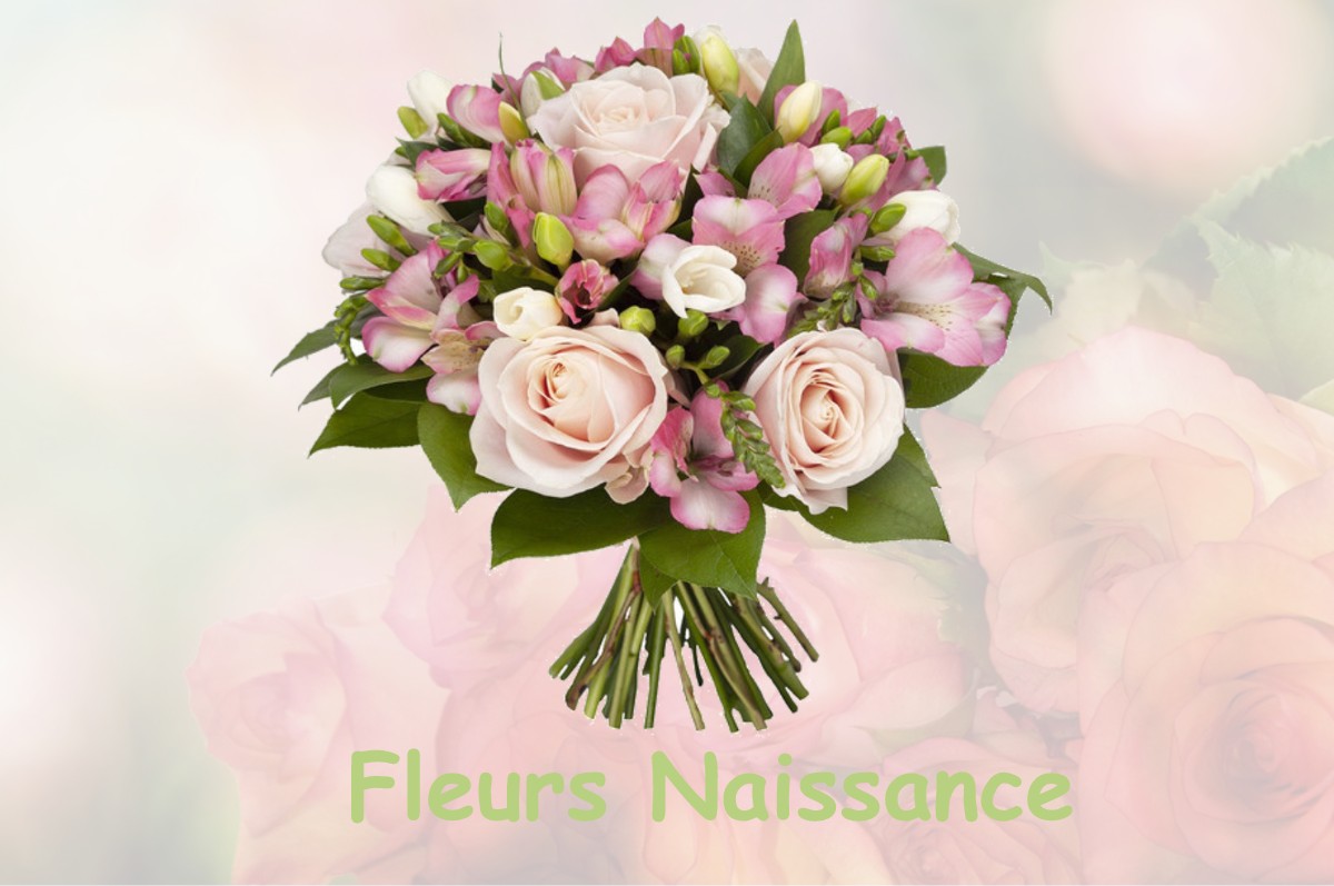 fleurs naissance SAINT-CAPRAISE-DE-LALINDE